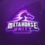  Metahorse Unity