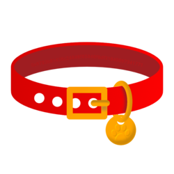 Dog Collar