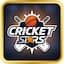 Cricket Champions