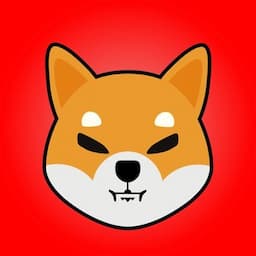 Shiba Eternity