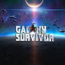 Galaxy Survivor