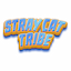 Stray Cat Tribe