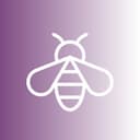 Buzz Markets