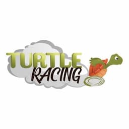 Turtle Racing