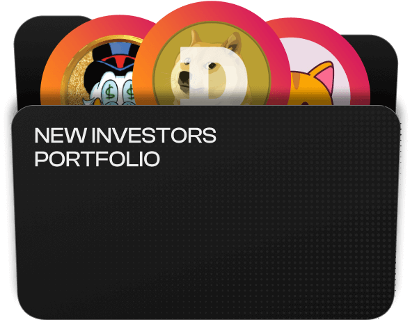 new-investors-portfolio