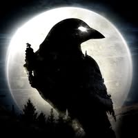 Night Crows