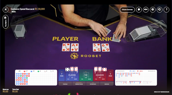 Roo Casino Interface