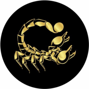 Scorpion Casino