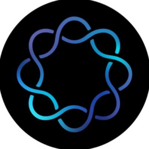 Delphi Digital