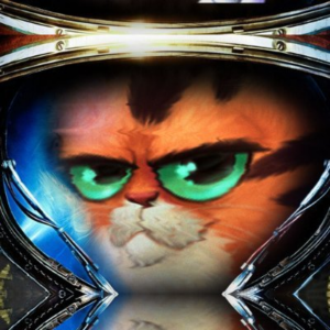 Don’tPlaywithKitty