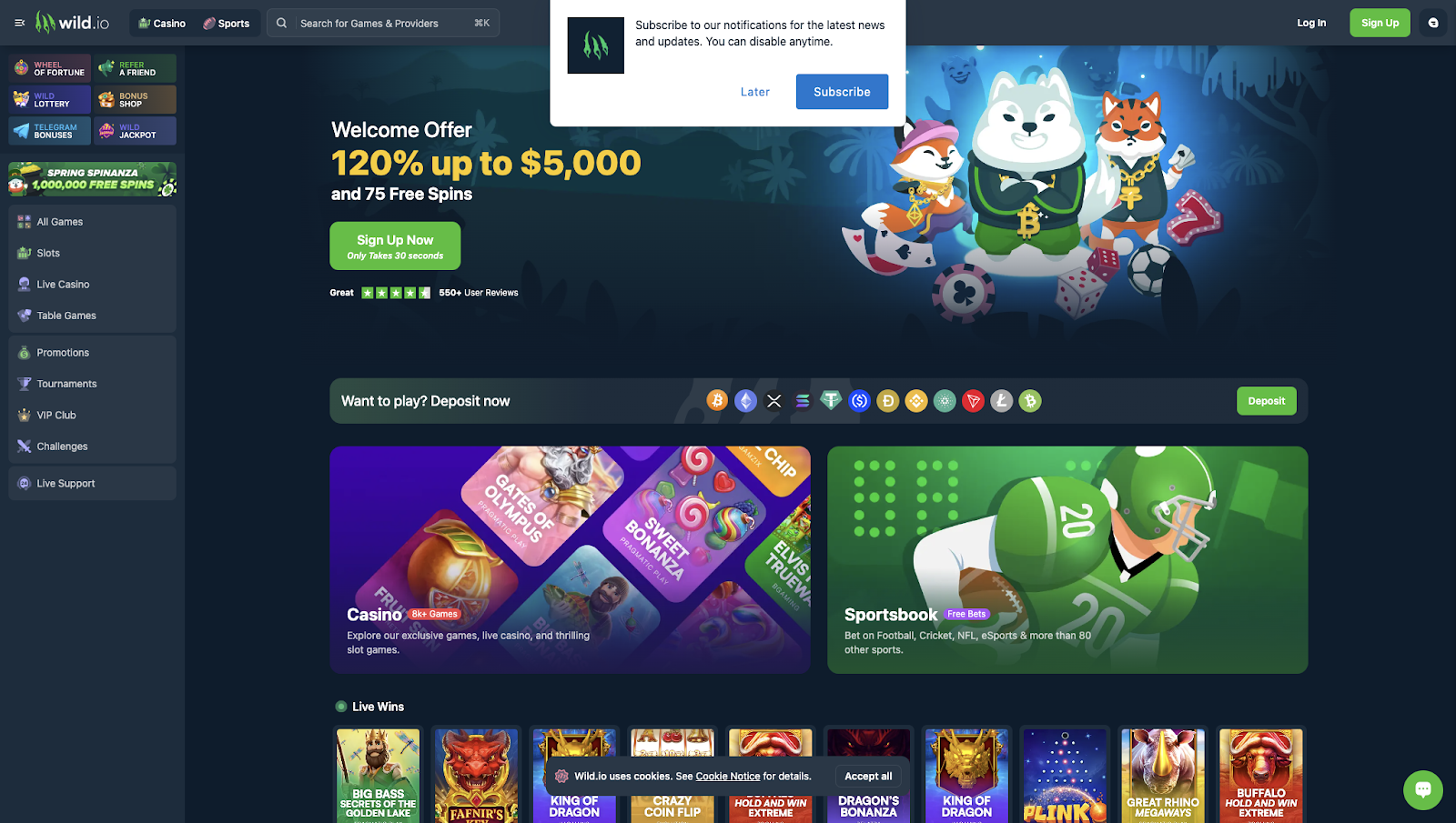 22. Wild.io: 100 Free Spins Crypto Casino No Deposit Bonus