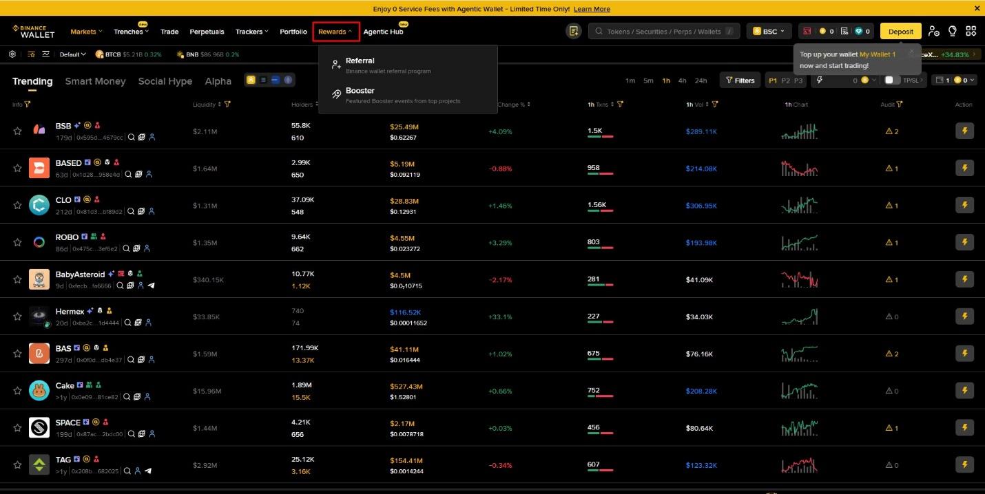 Access the Binance Web3 Wallet